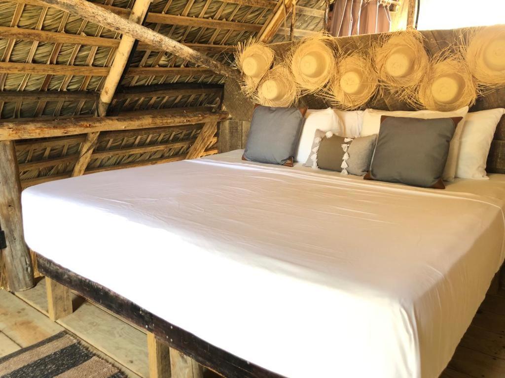 Lodge Puntacana Lavacama Costa Arrecife By Aa Crypto Group *