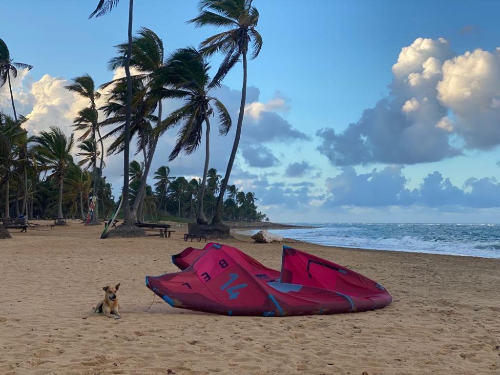 Puntacana Lavacama Costa Arrecife By Aa Crypto Group * Punta Cana