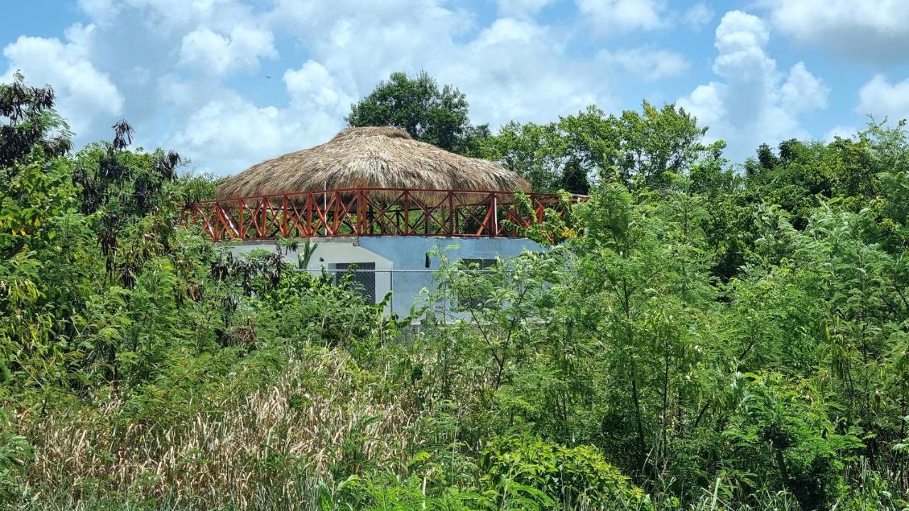 Guest house Unique And Quiet La Botanica Tropical