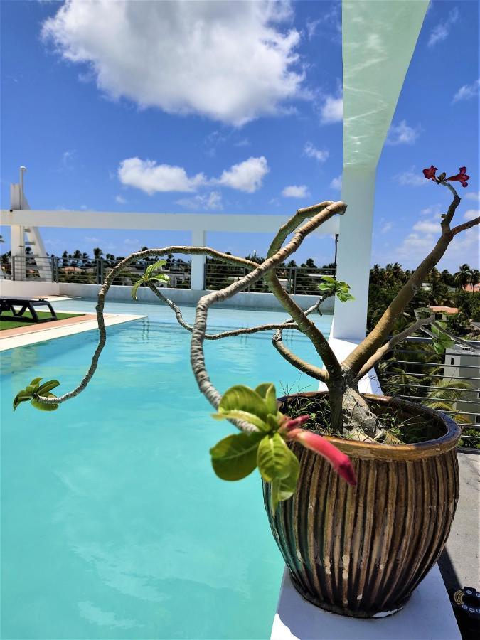 Superior Studio With Beach Access
