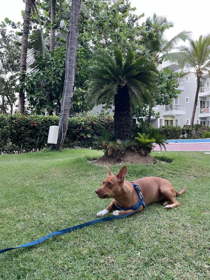 Pool Sol Caribe