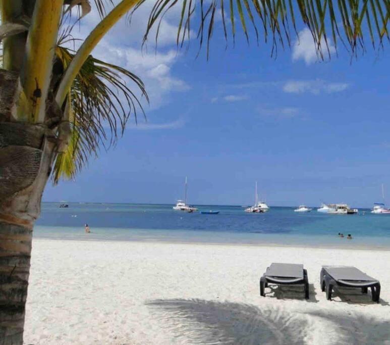 Hermoso Apartamento Con Vista Al Mar! Los Corales Apartment