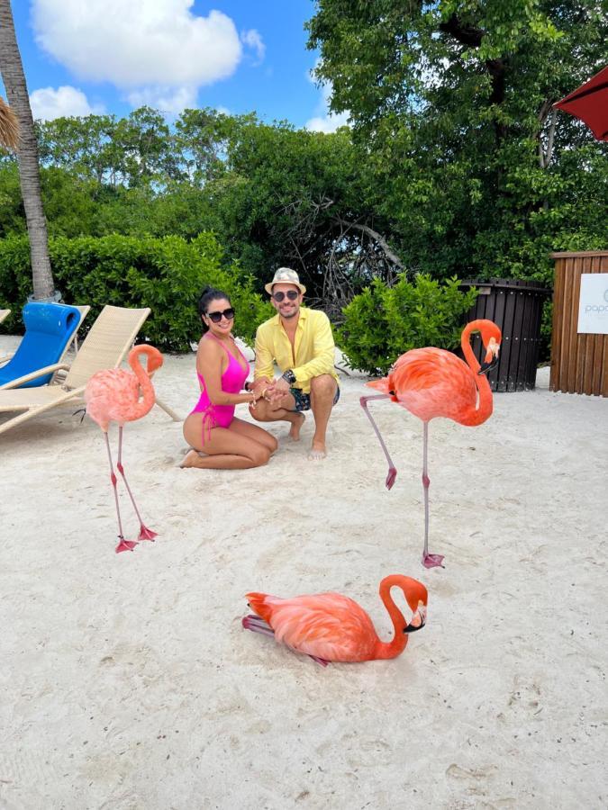Bavaro Suites Pool Ducassi-sol Caribe Apartment