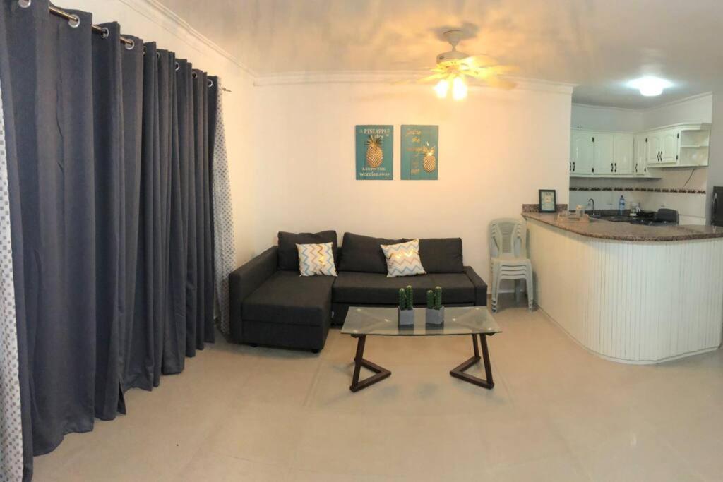 In Bibijagua Beach With Pool, Apartment *