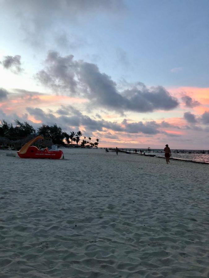Ducassi Rooftop Pool Suites Beach Club And Los Corales Beach Hotel Punta Cana