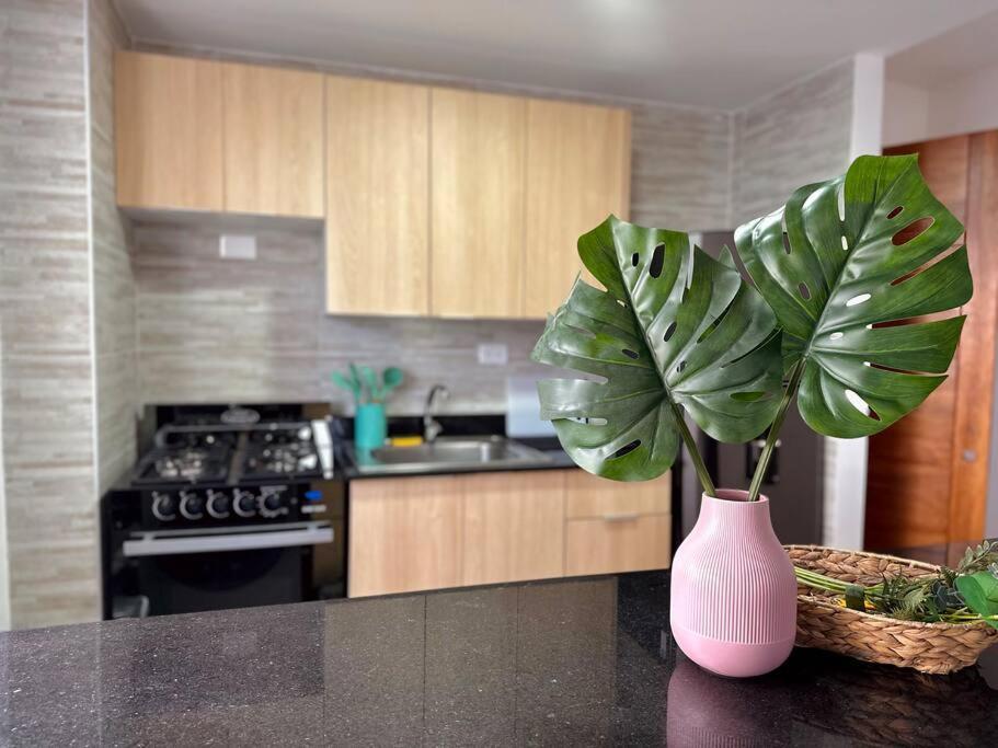 Apartment Paraiso Cana Punta Cana