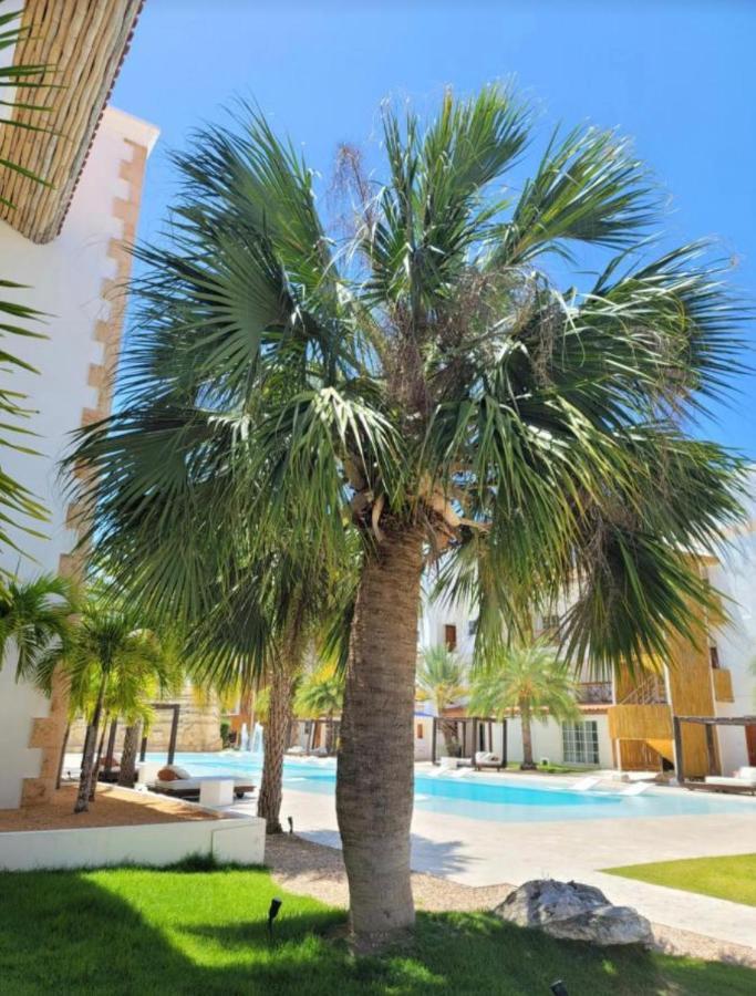 Jaragua's Place At Capcana Amazing & Modern