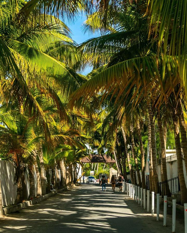 Apartment Charming 2bdr Pool View Walking To Bavaro