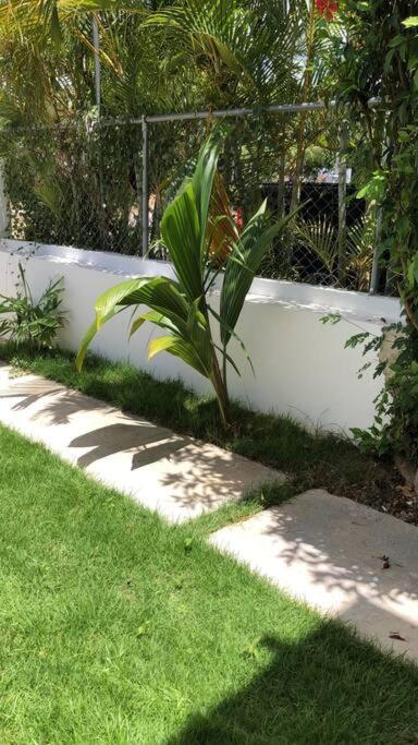 Thetwins At Residencial Bavaro Village