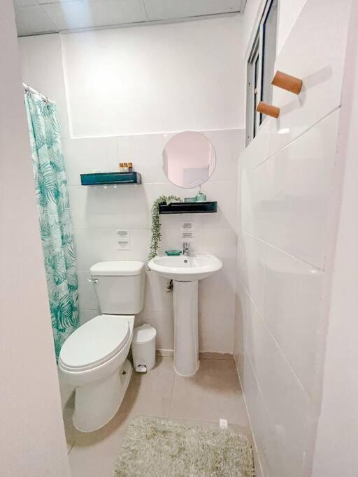 Apartamento Modern In Downtown Punta Cana