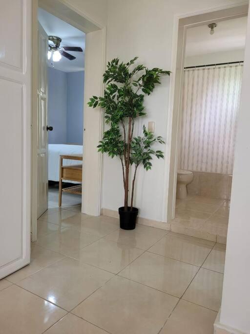 Bavaro Sun Beach Residential Apartment Punta Cana