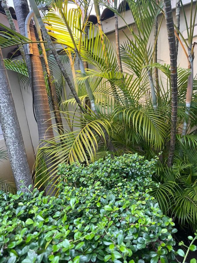 Hotel Plaza Brisas Mt Punta Cana