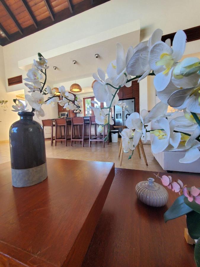 Espectacular Tropical De 2 Hab/ Con Piscina Privada Y Bbq Apartment *