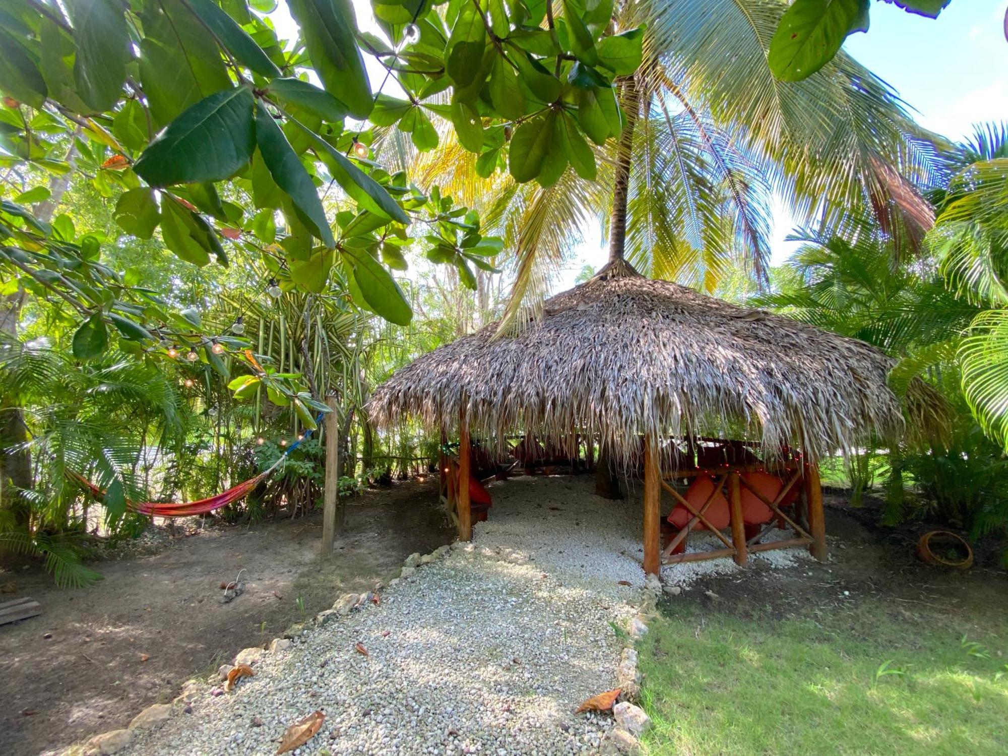 Hotel Tropical Village Playa Corales 5*