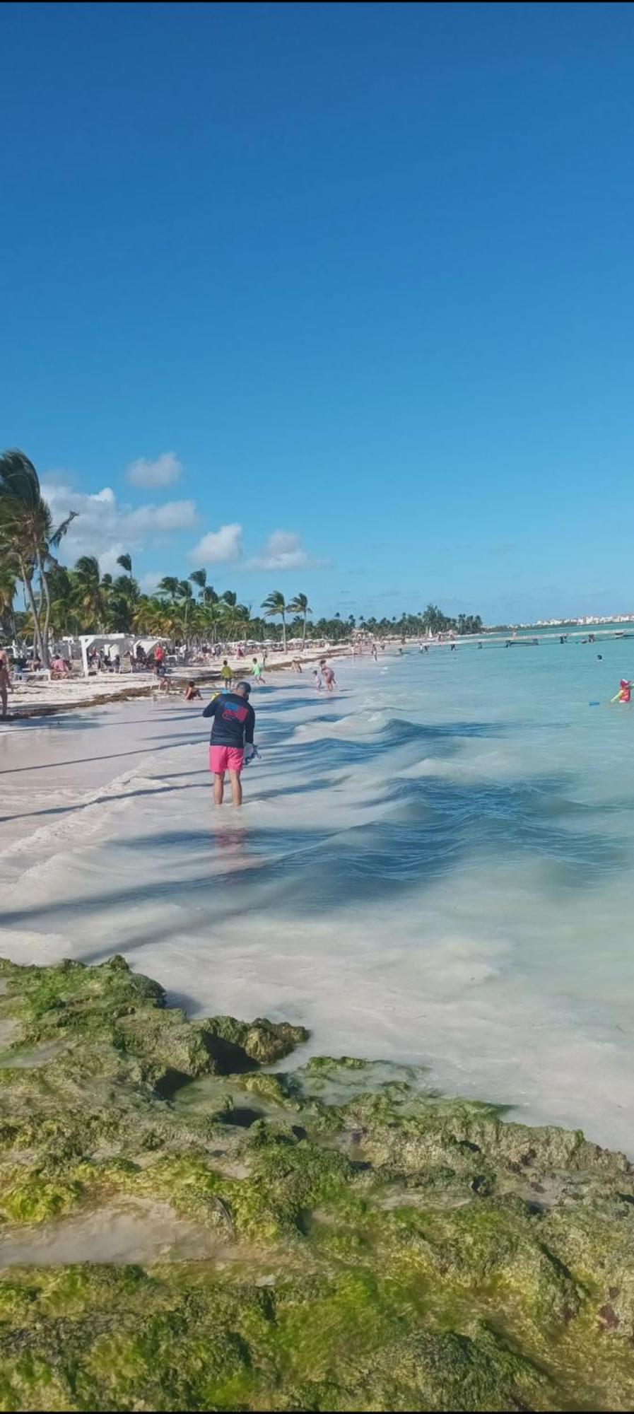 Apartment Apto Estudio En Punta Cana, Vista A La Pisicina Punta Cana