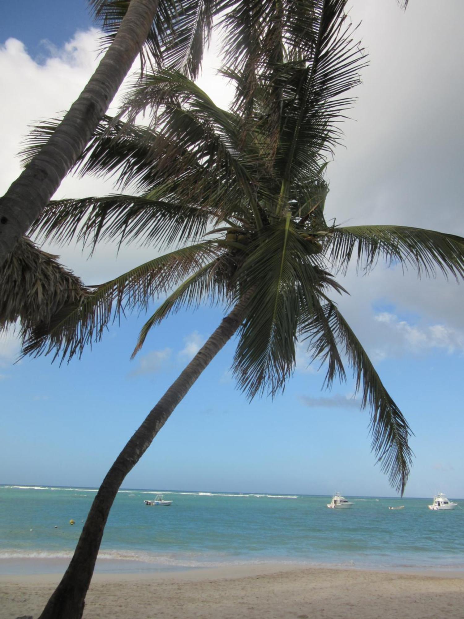 Seven Shades Of Coral Village - & Pool In A Close To The Beach Punta Cana