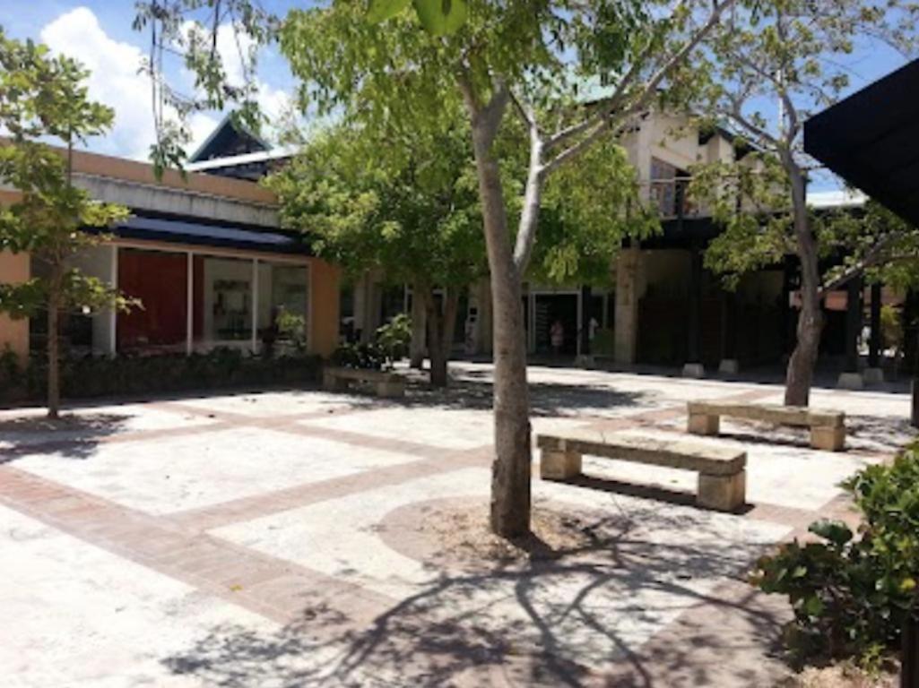 Lovely And Spacious Fully Equipped In Cap Cana Apartment *