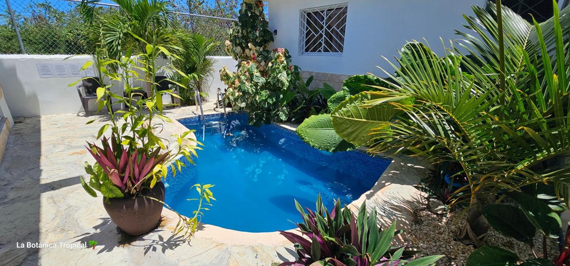 Guest house Unique And Quiet La Botanica Tropical