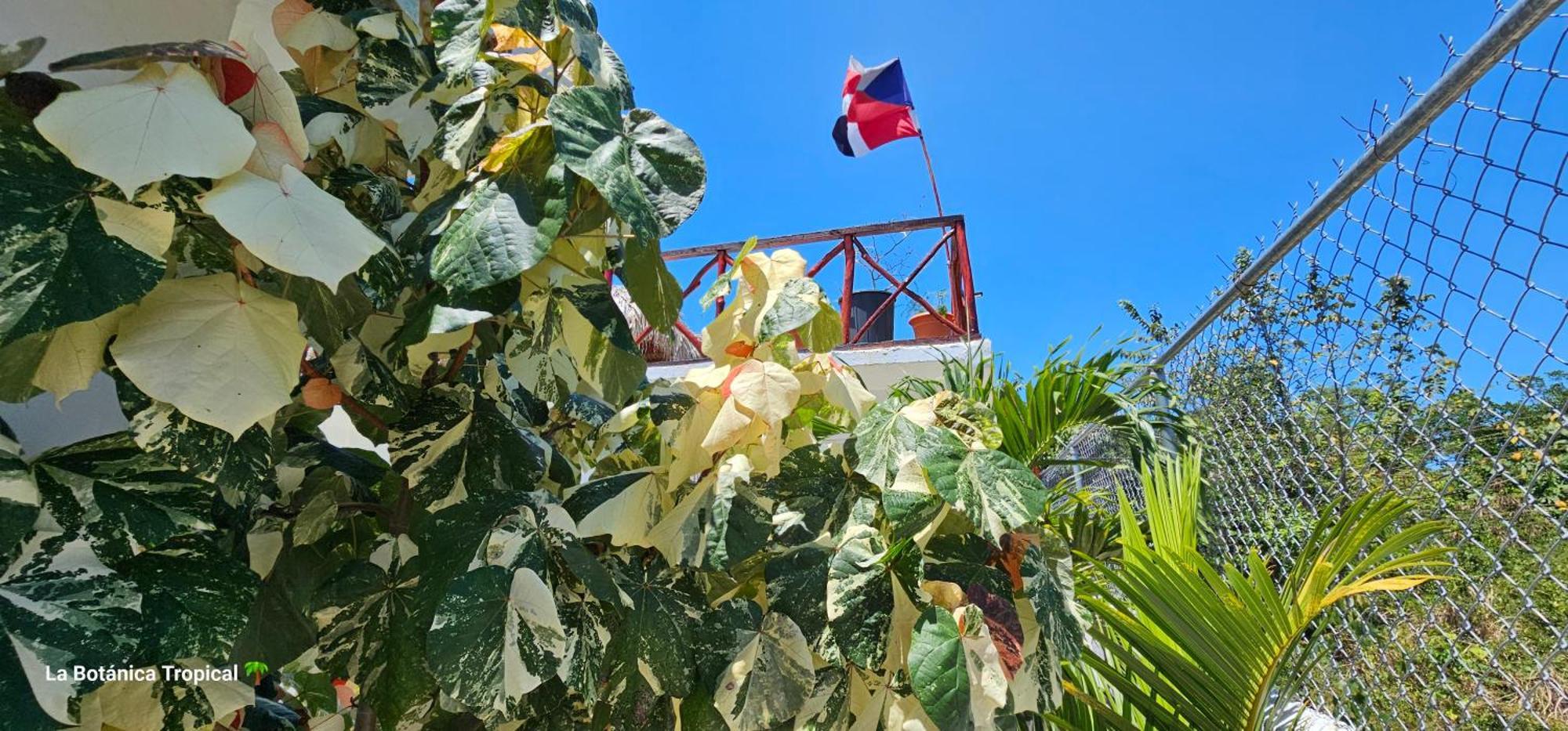 Unique And Quiet La Botanica Tropical Guest house