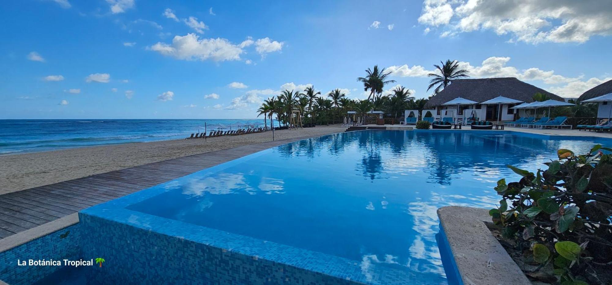 Unique And Quiet La Botanica Tropical Guest house Punta Cana