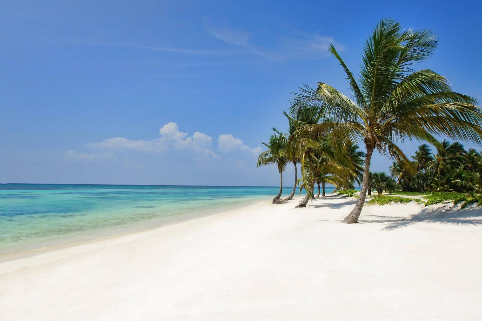 The Westin Puntacana Punta Cana