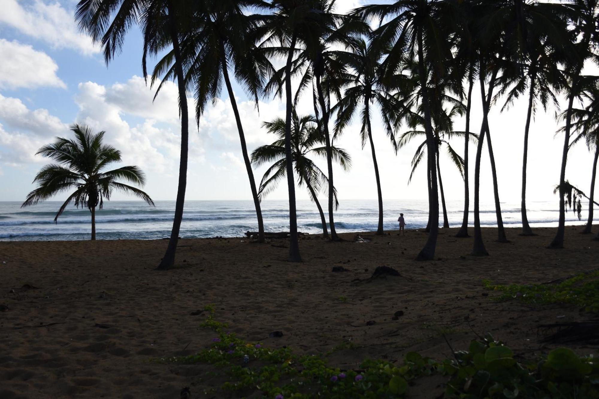 Apartment Relax @ Bavaro Beach, Bibijagua *