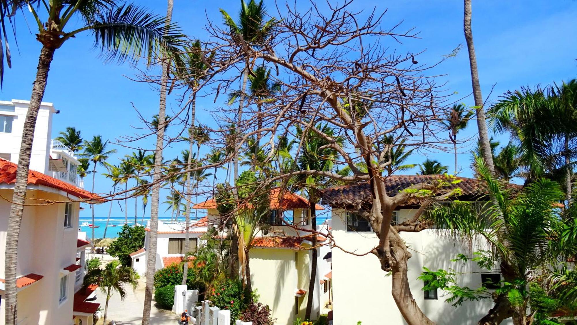 Atlantic & * Punta Cana