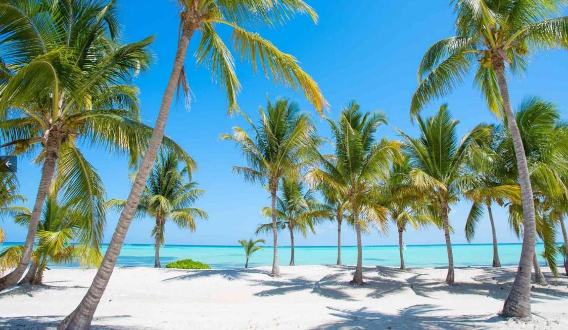 Apartment Coral Suites And Playa Corales *