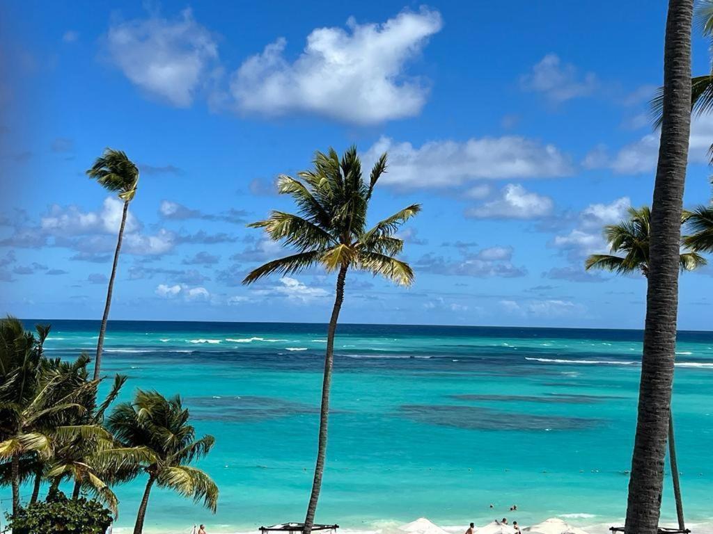 Ocean Front Caney Punta Cana