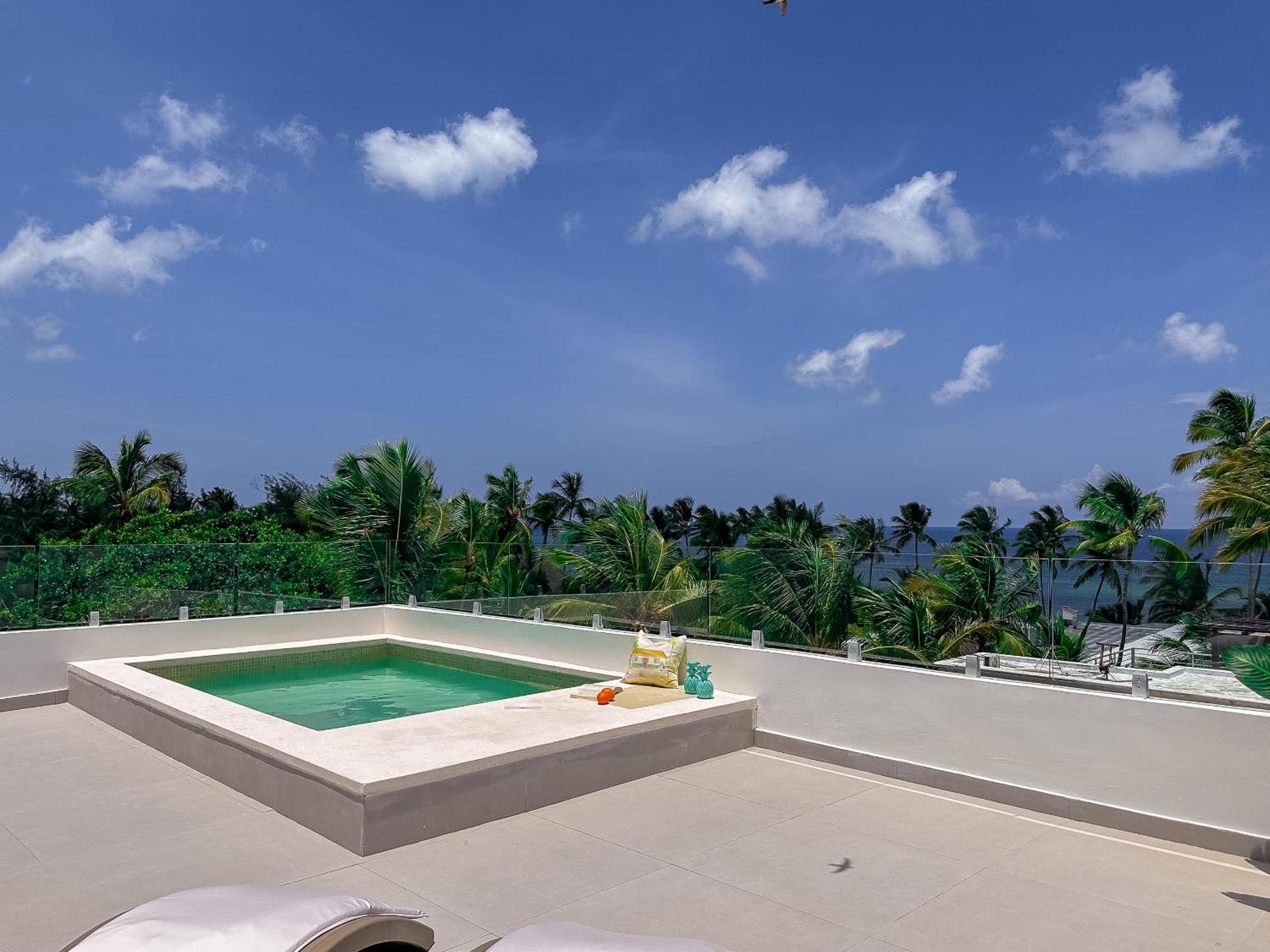 Apartment Spectacular Penthouse With Ocean Views Punta Cana