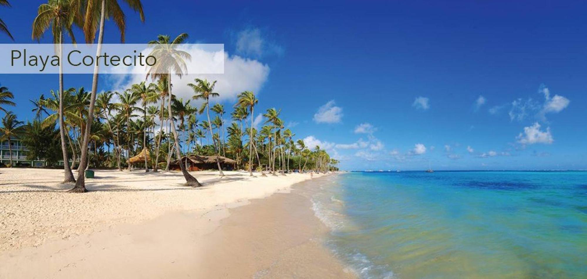 Tropical Garden With Picuzzi In Playa Bavaro Apartment *