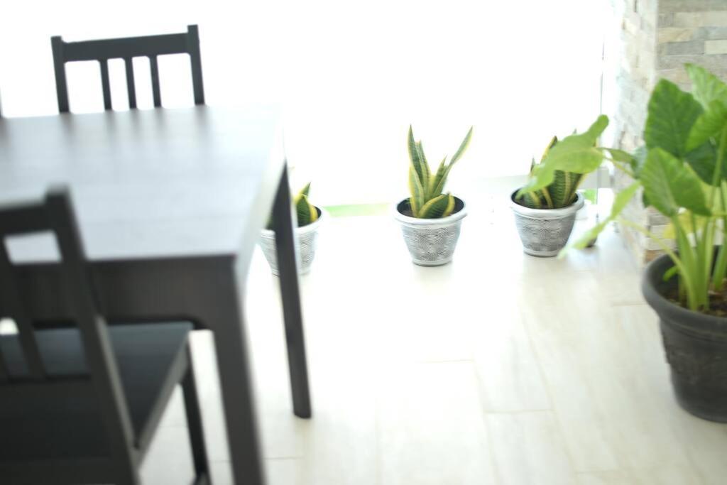 Apartment Pm New Dream ,by The By The Shops Punta Cana
