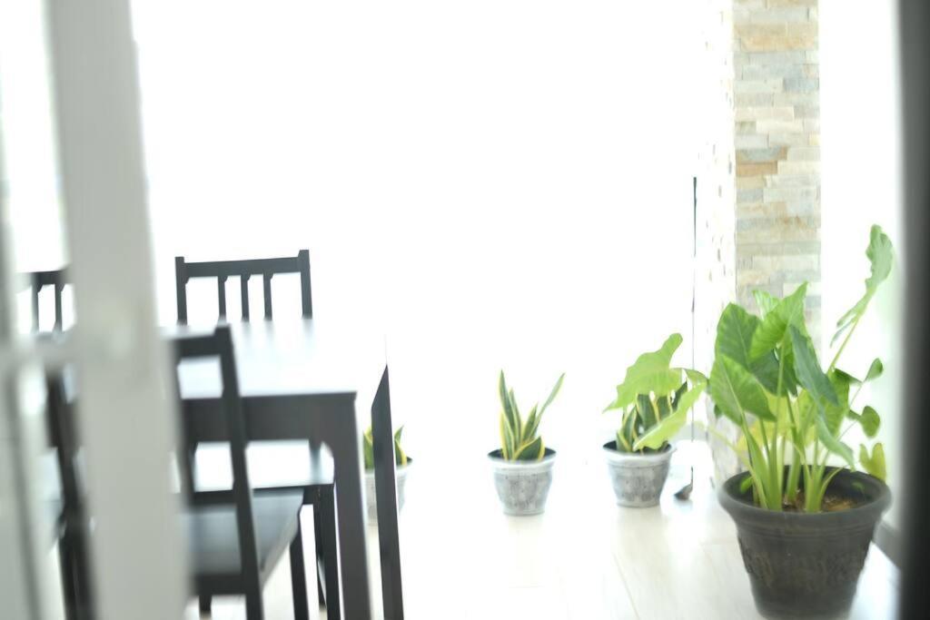 Apartment Pm New Dream ,by The By The Shops Punta Cana