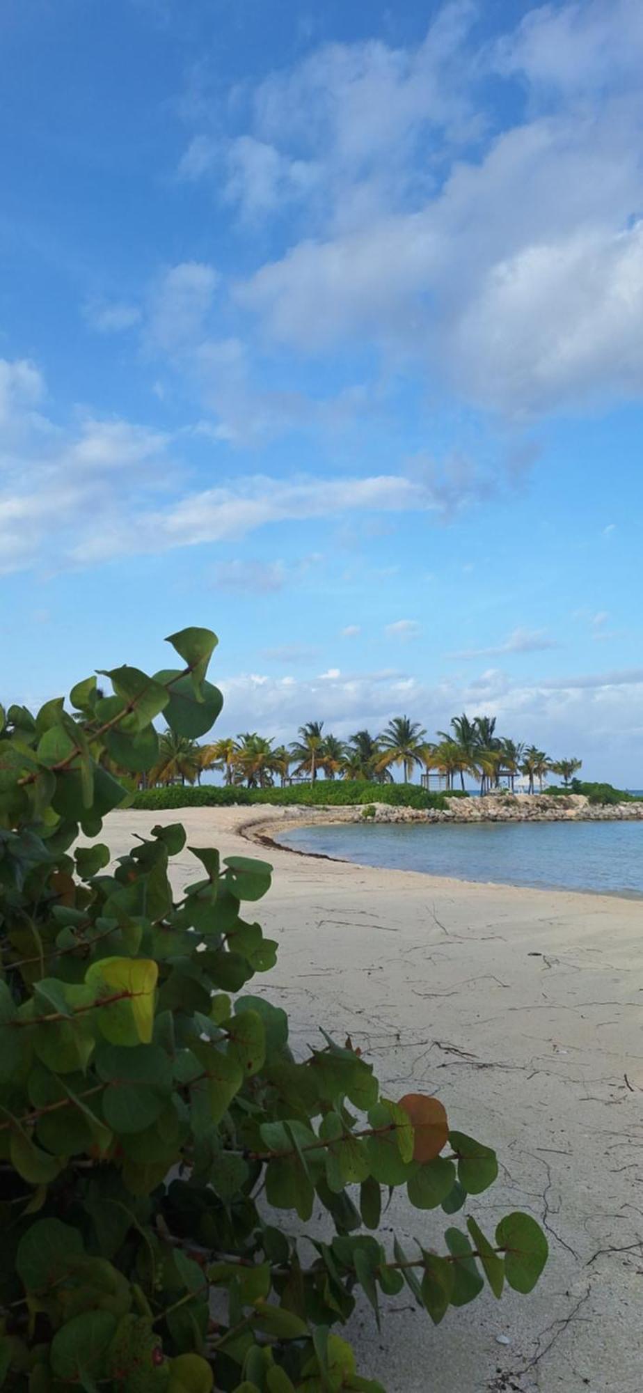 Nuevo Cap Cana