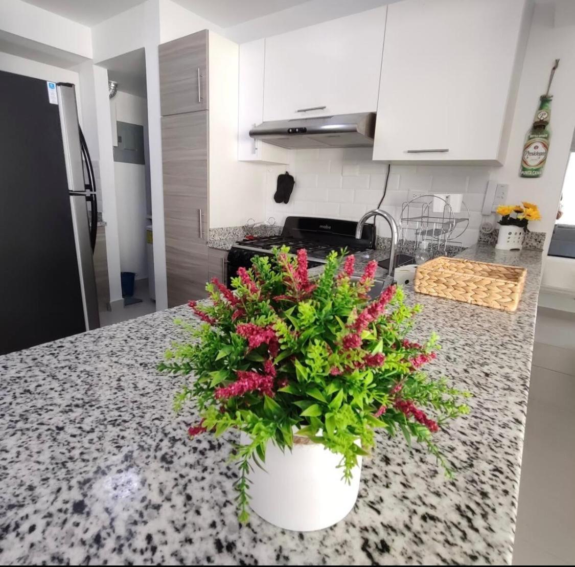 Apartamento Caribbean Relax Apartamento Acogedor Punta Cana