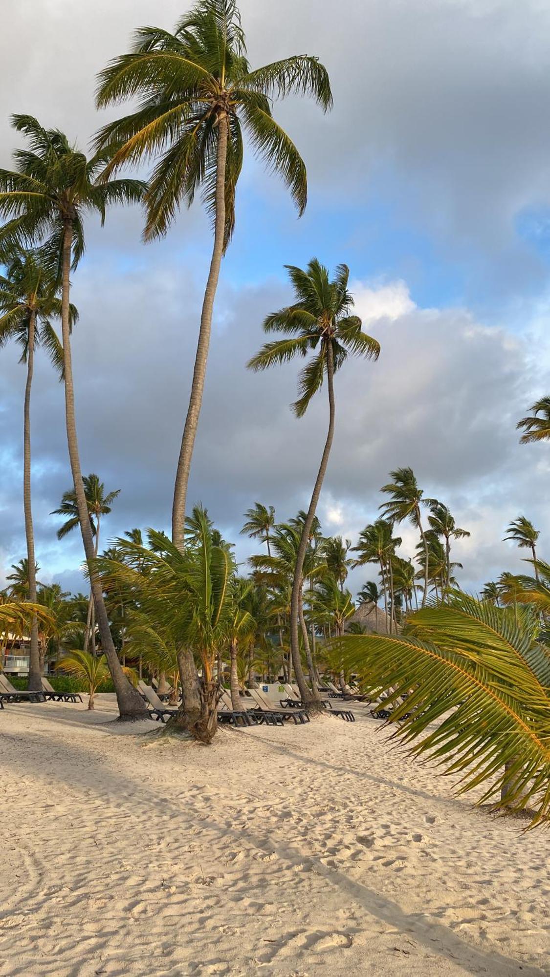 Apartamento A Harmonious Place For You Close To The Beach *