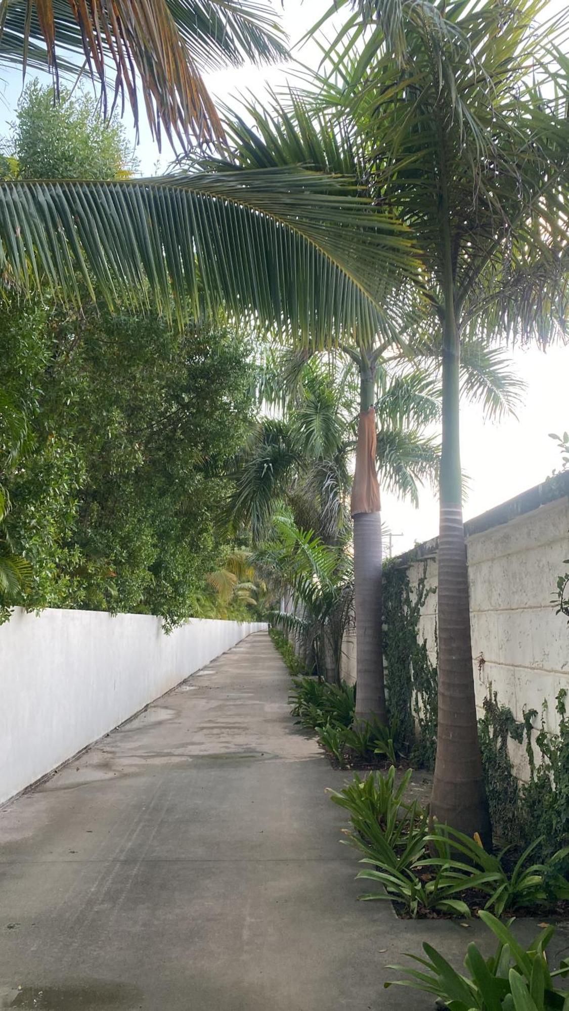 A Harmonious Place For You Close To The Beach Apartamento