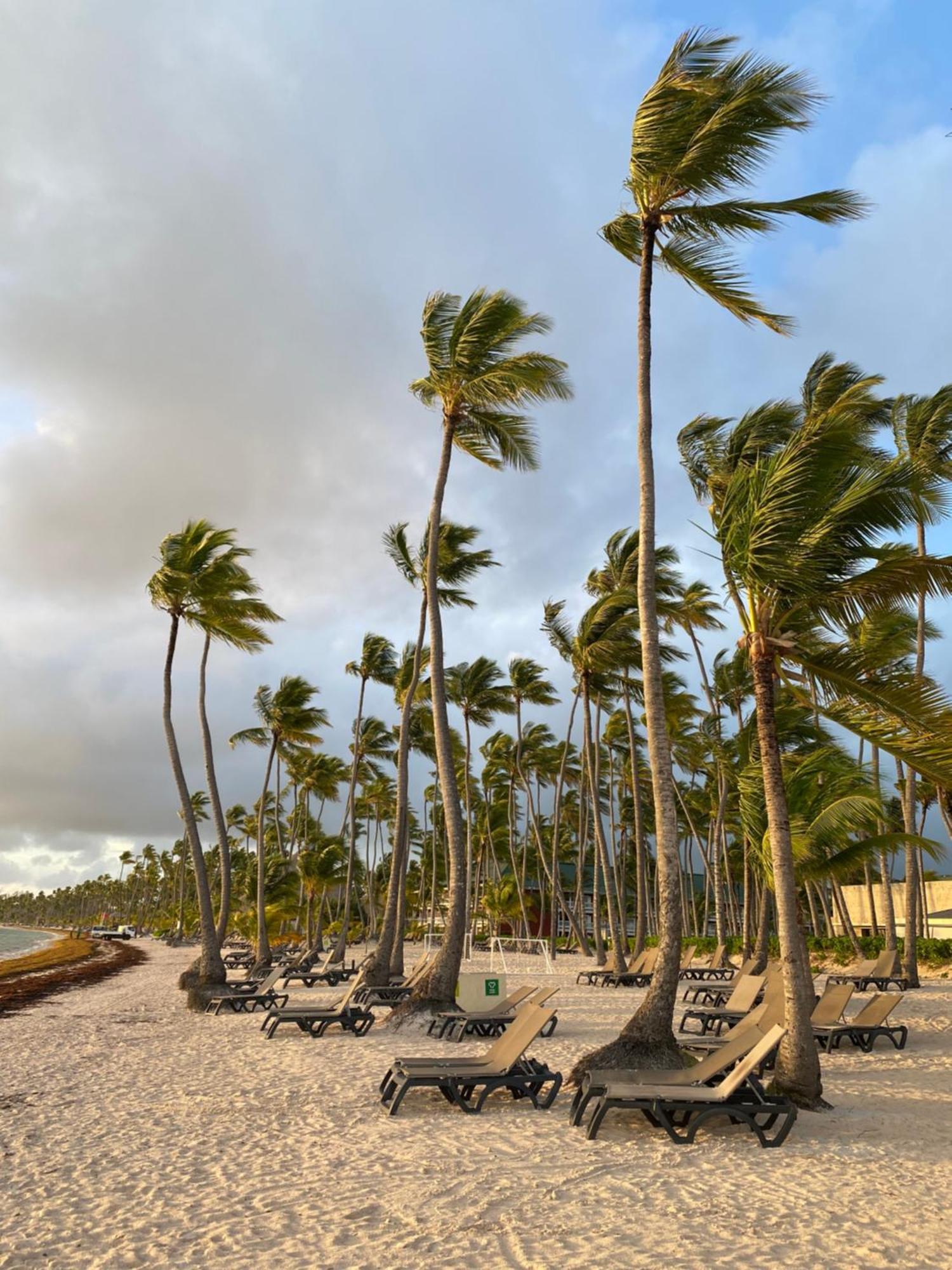 A Harmonious Place For You Close To The Beach Apartamento Punta Cana