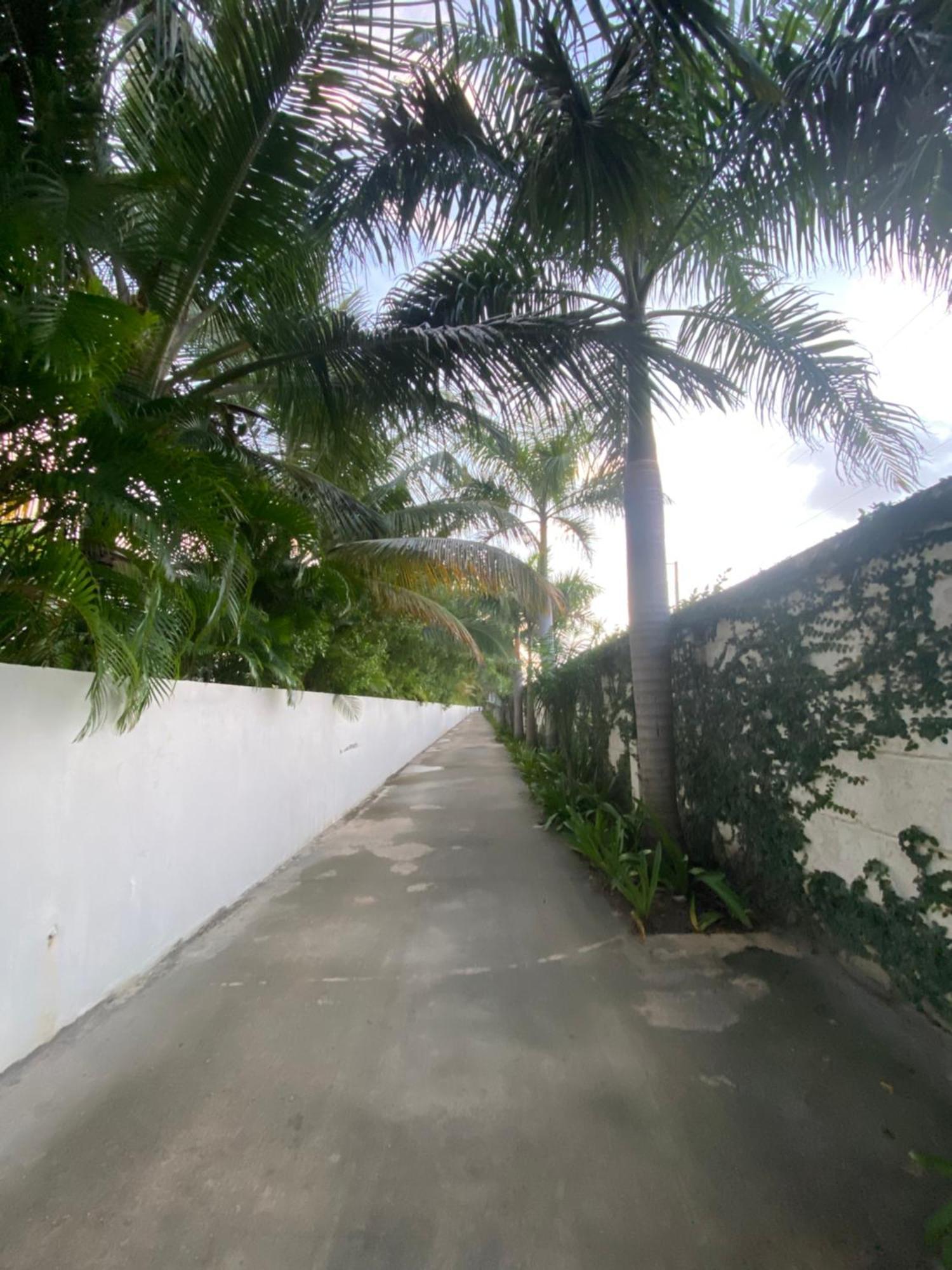A Harmonious Place For You Close To The Beach Punta Cana