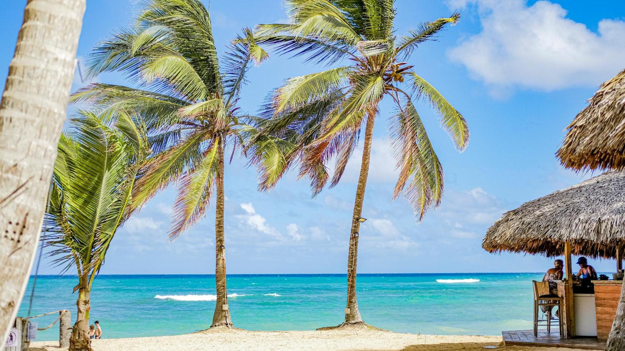 Playa Palmera Ocean View