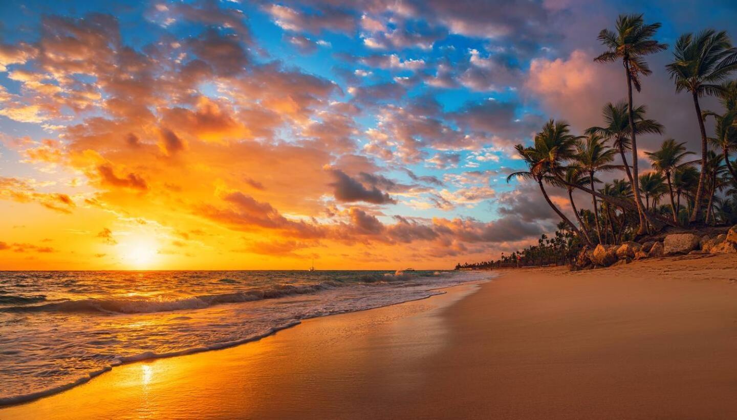 Playa Palmera Ocean View Apartment Punta Cana