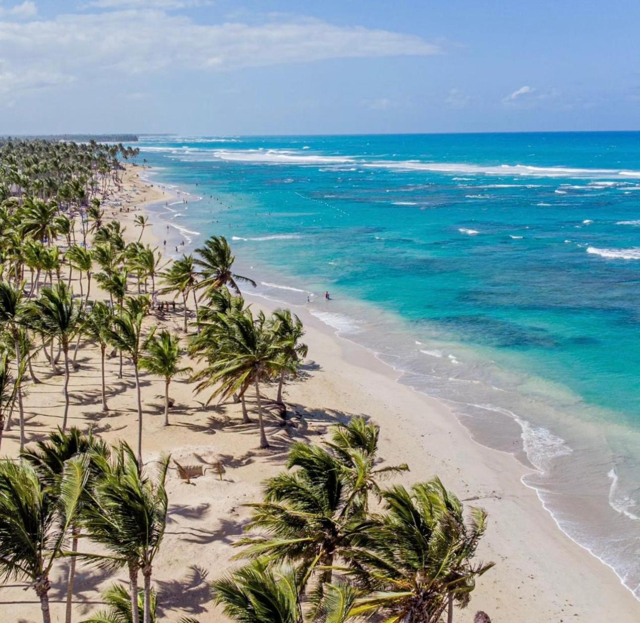 Playa Palmera Ocean View *