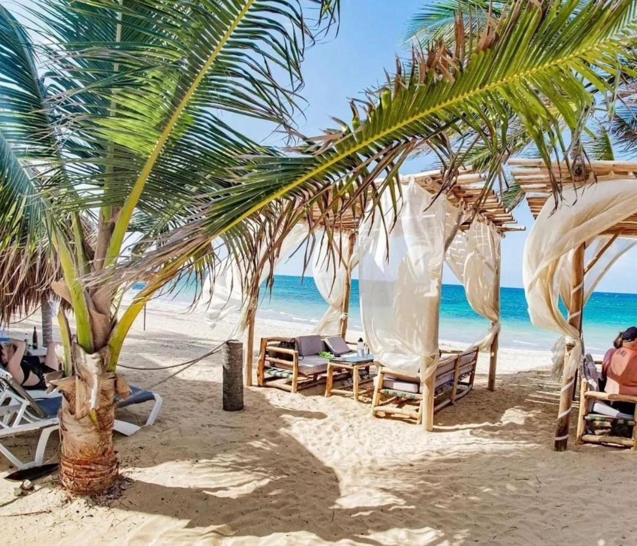 Playa Palmera Ocean View *