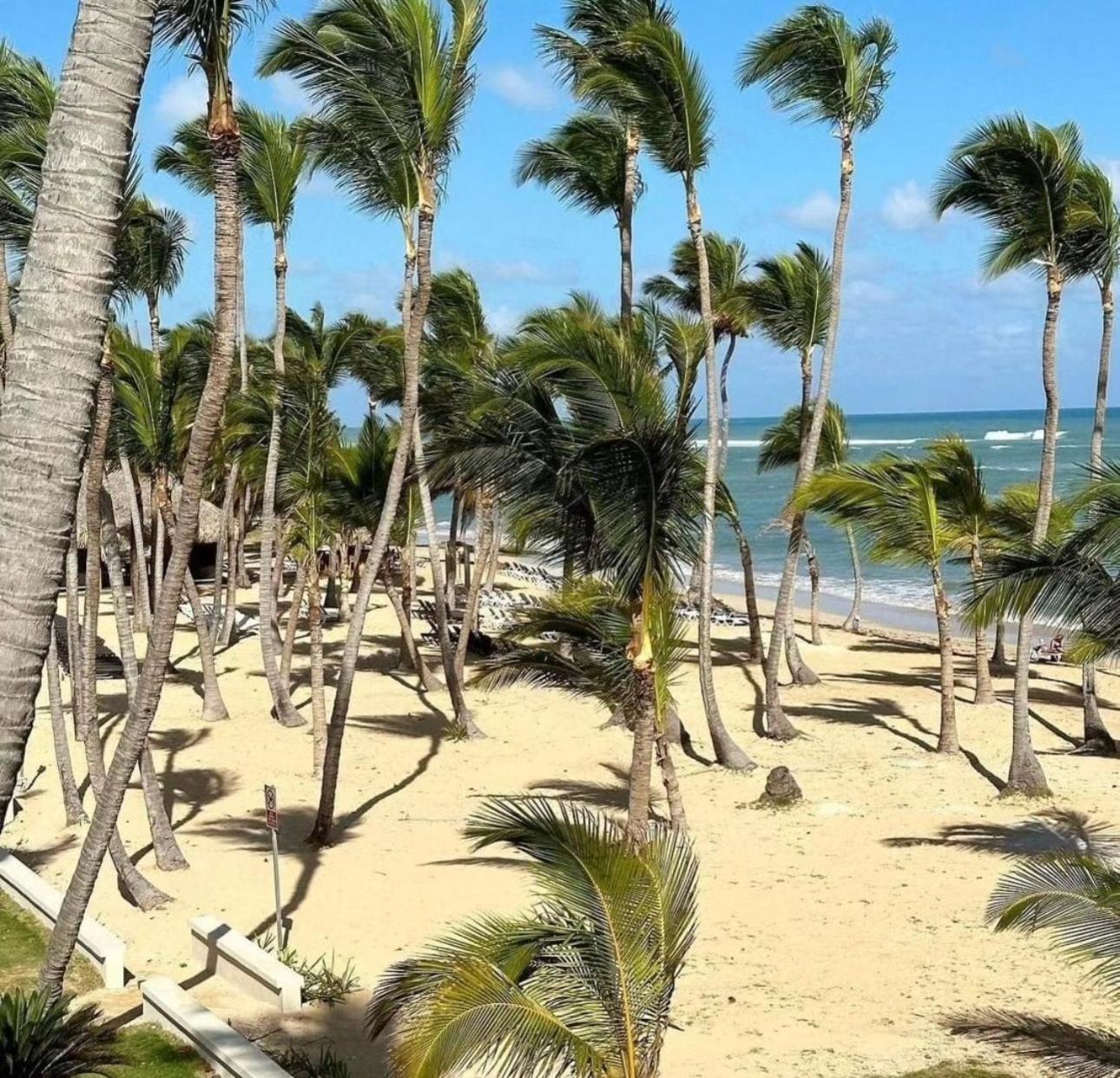 Apartment Playa Palmera Ocean View *