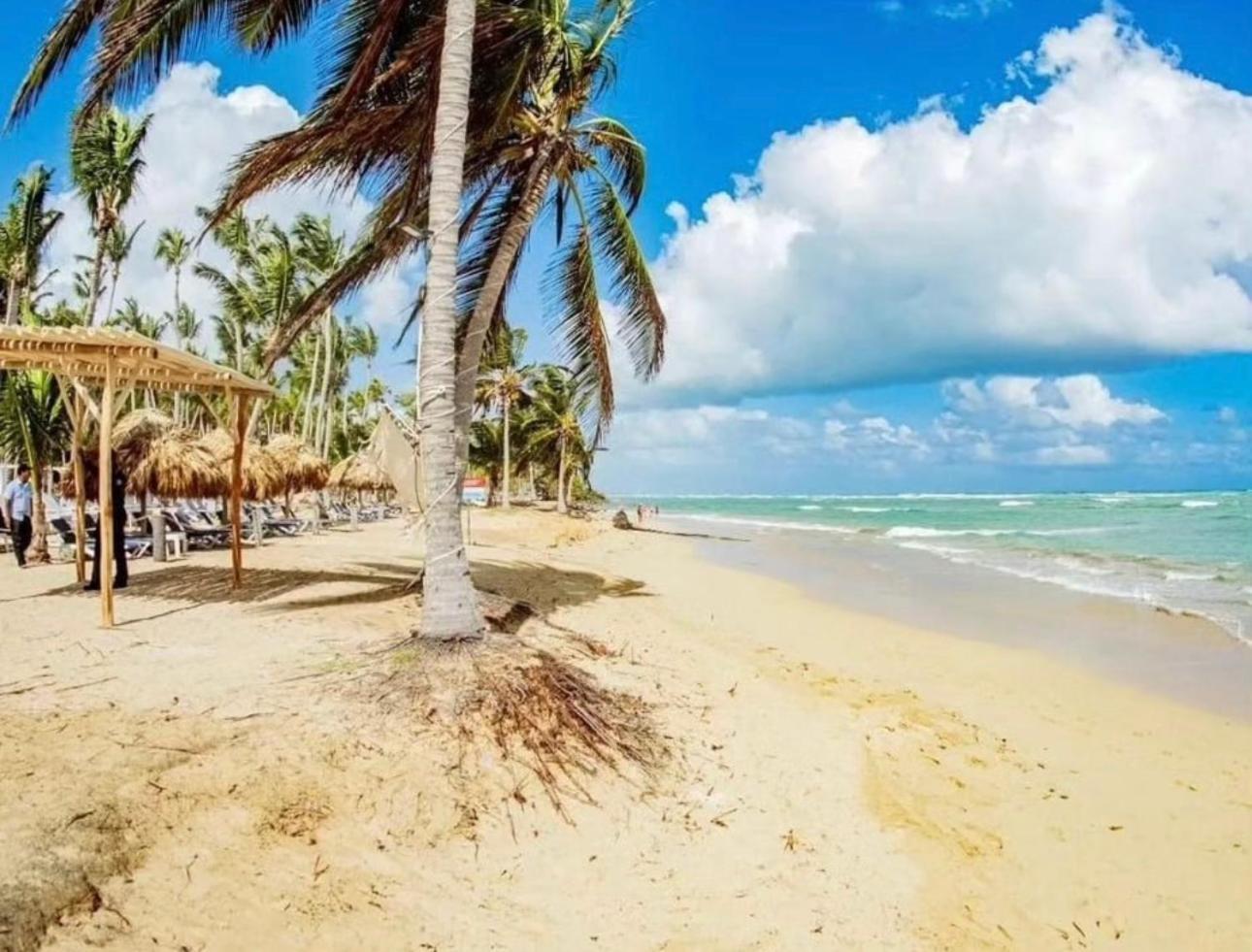 Apartment Playa Palmera Ocean View *