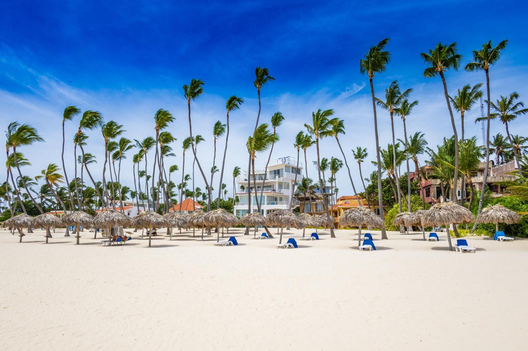 Prime Ocean View - 3-bedroom Getaway With Private Terrace On Bavaro Apartamento *