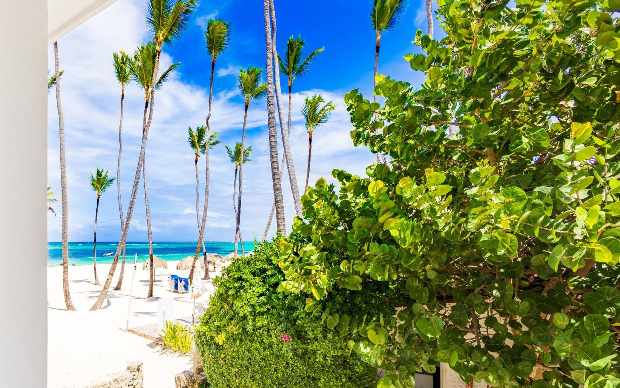 Prime Ocean View - 3-bedroom Getaway With Private Terrace On Bavaro Apartamento Punta Cana