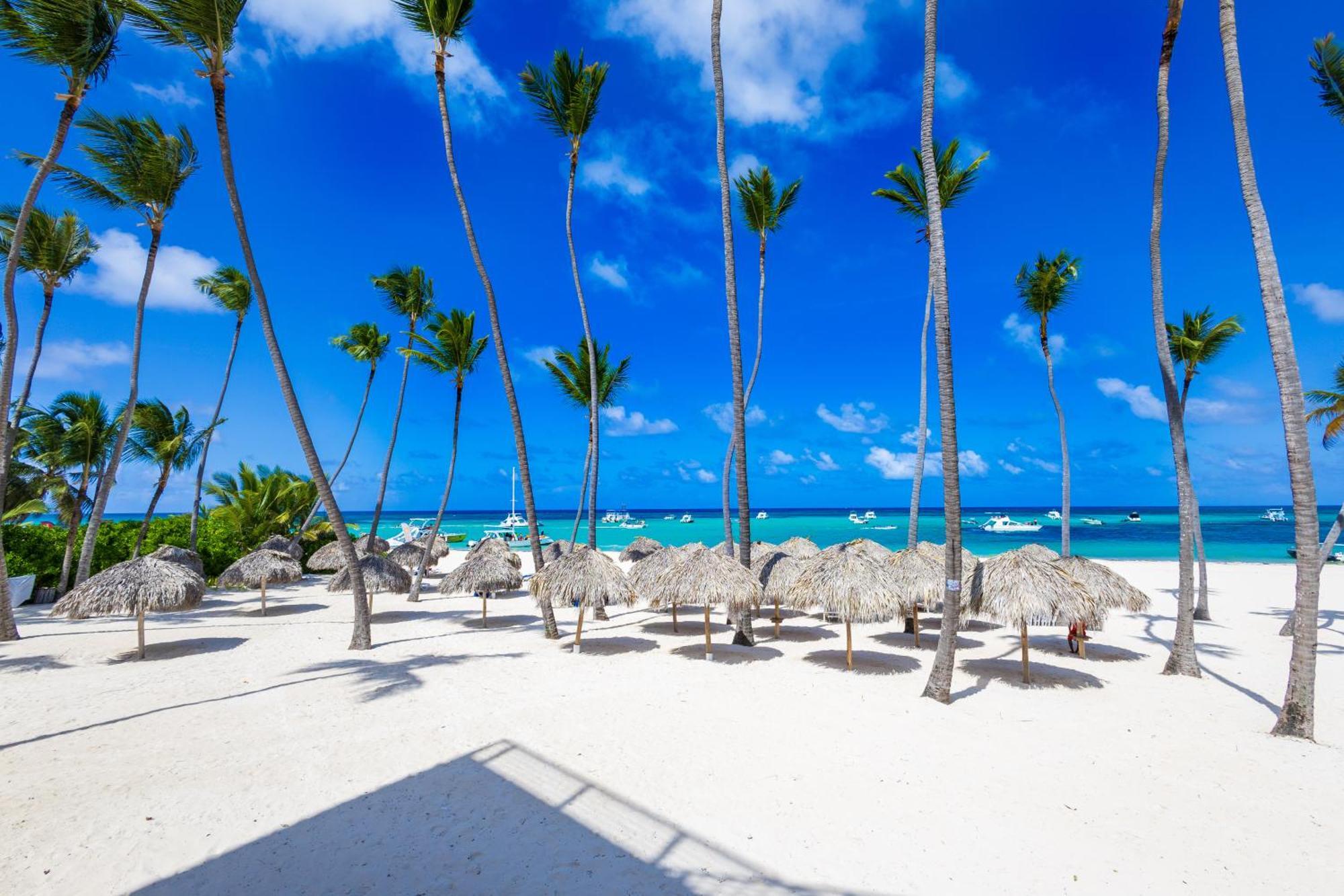 Apartamento Prime Ocean View - 3-bedroom Getaway With Private Terrace On Bavaro *