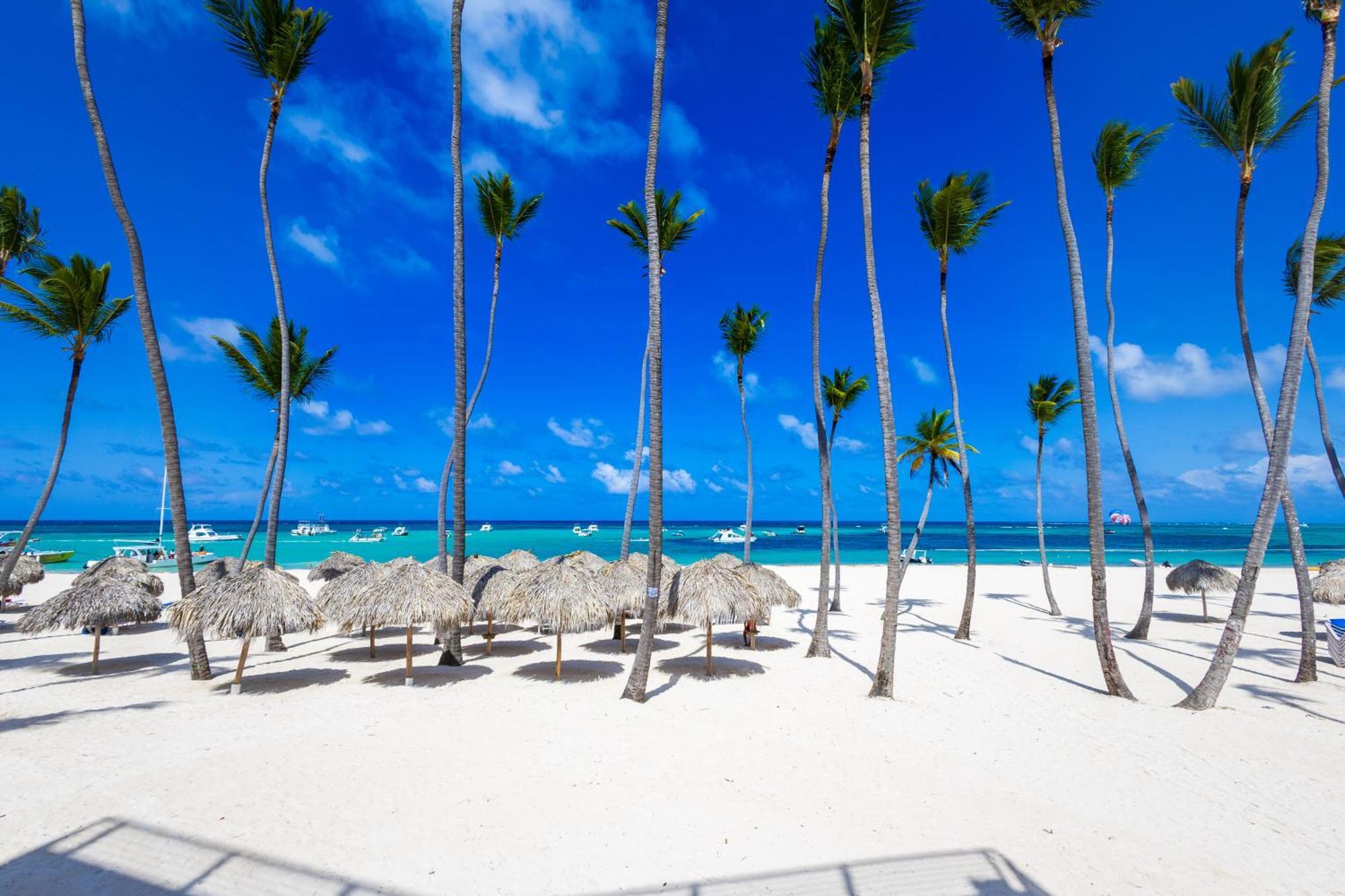 Apartamento Prime Ocean View - 3-bedroom Getaway With Private Terrace On Bavaro *