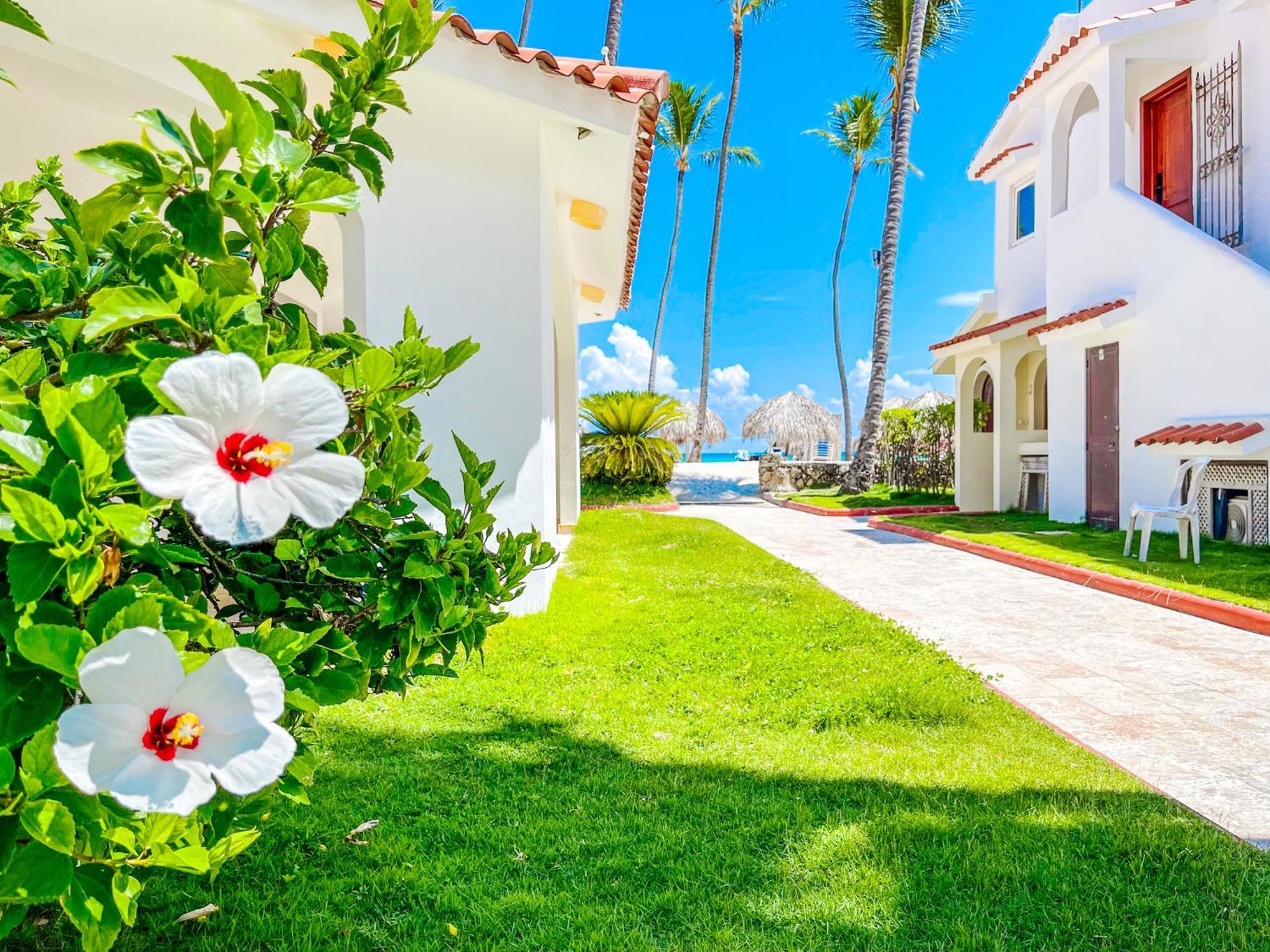 Hotel Oceanfront & Garden View Wifi Bbq Parking Los Corales Beach Club & Spa 5*